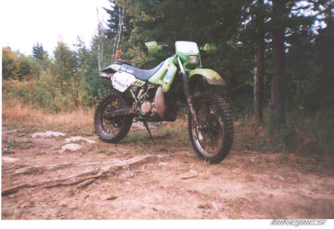 Photo 145483