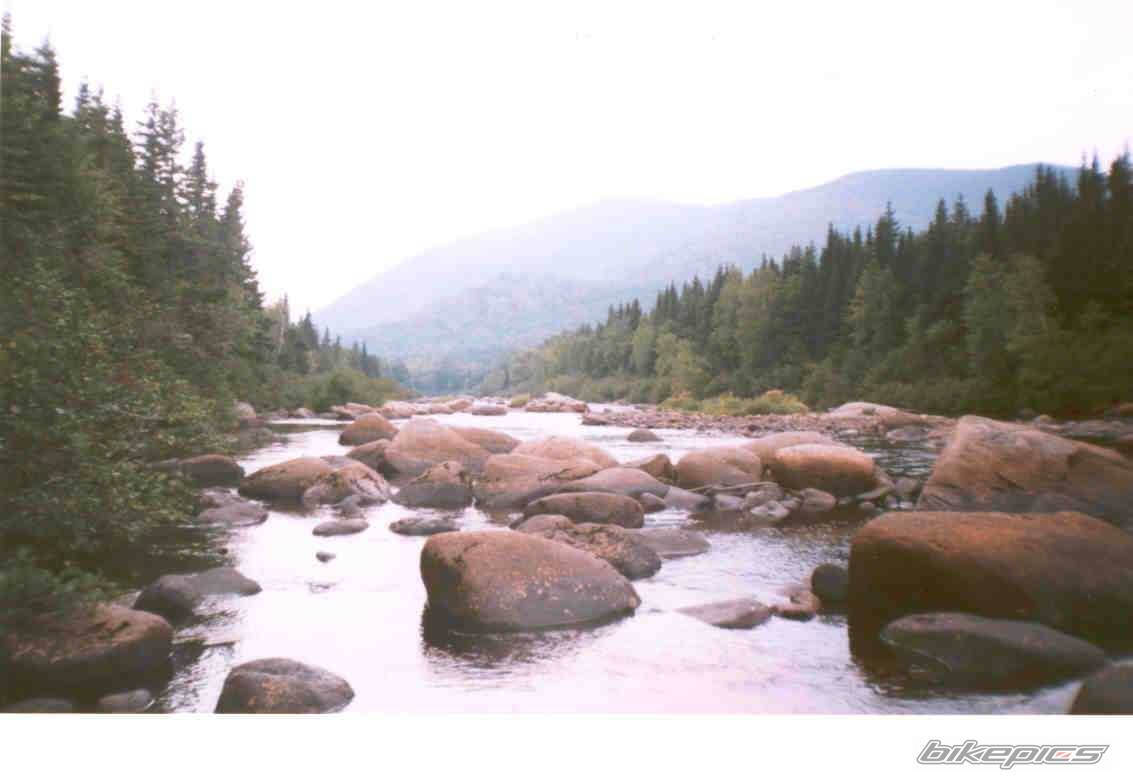 Photo 145485