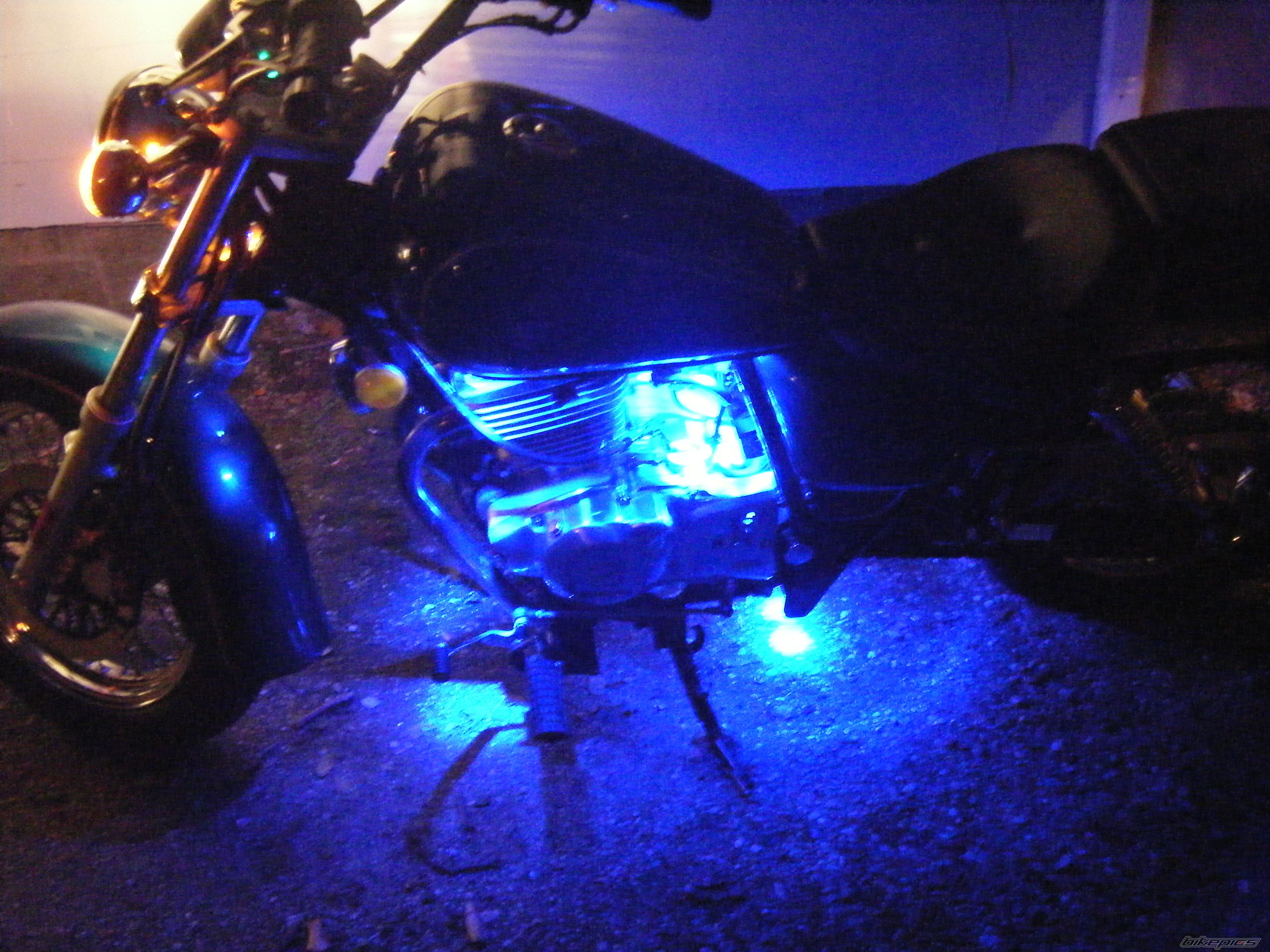 Photo 1454859