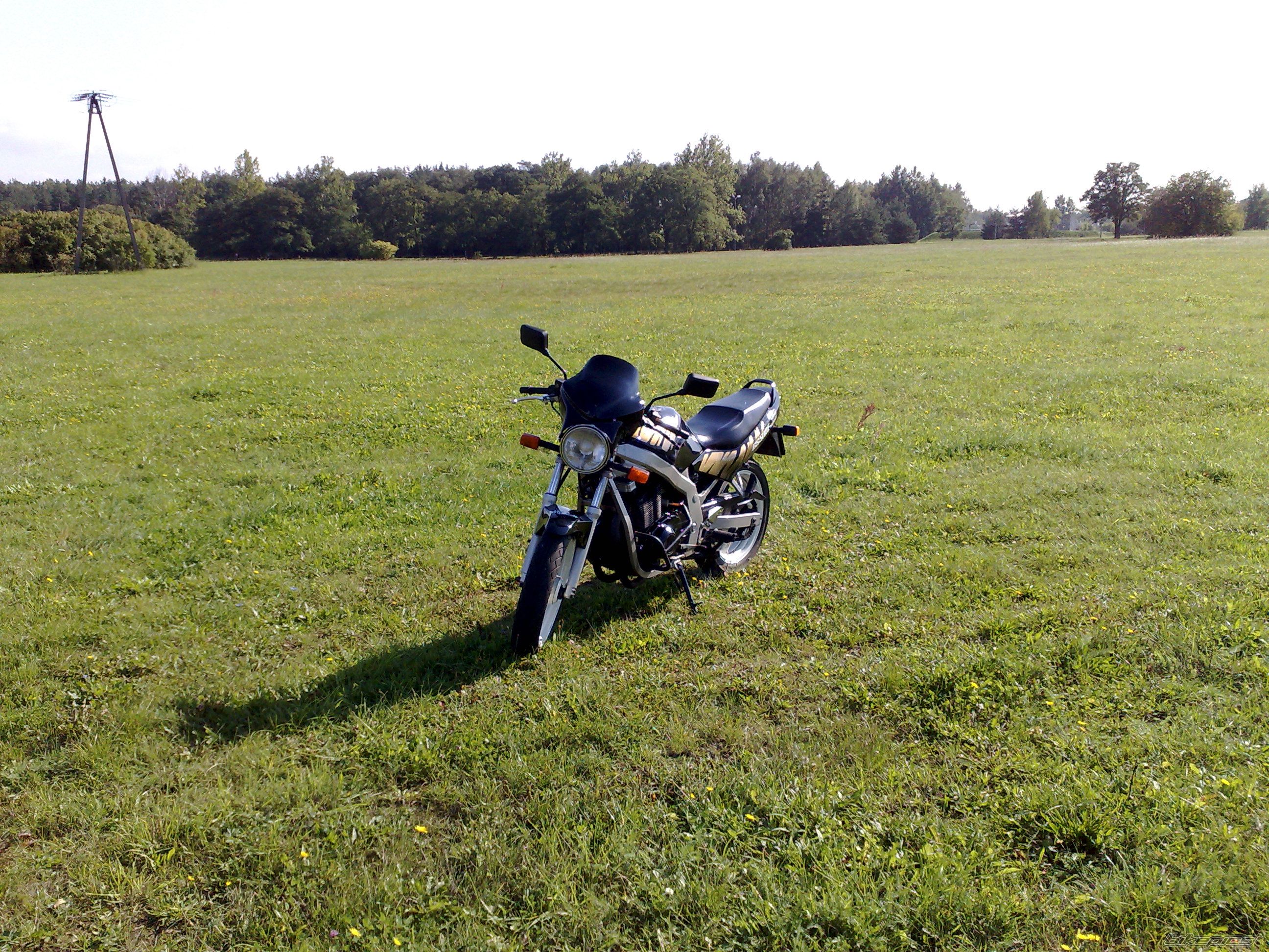 Photo 1454862