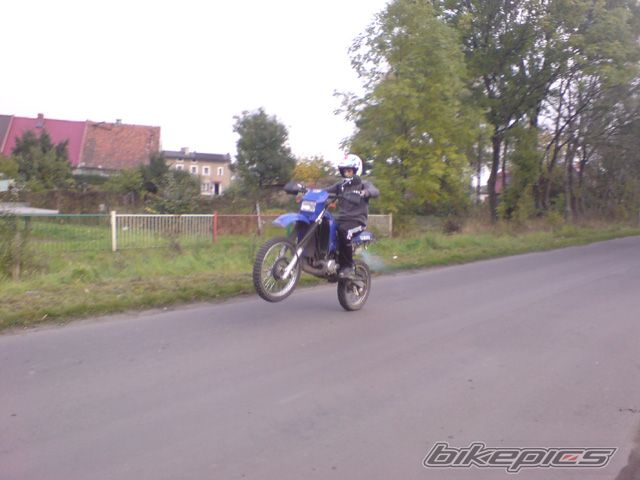 Photo 1454880