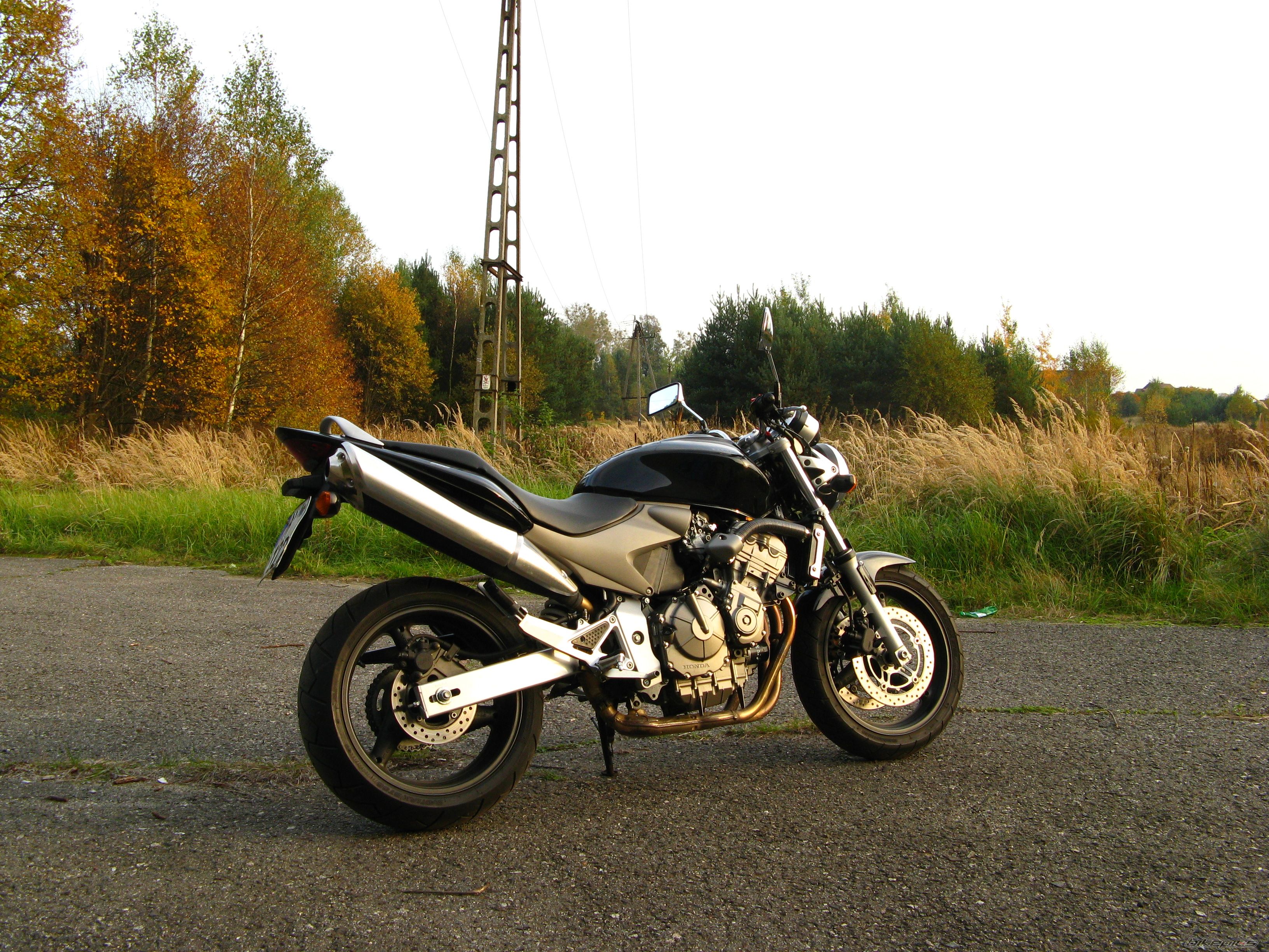 Photo 1454882