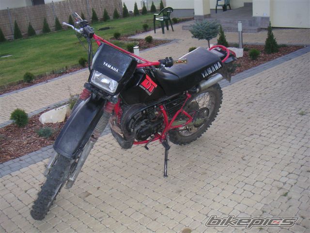 Photo 1454920