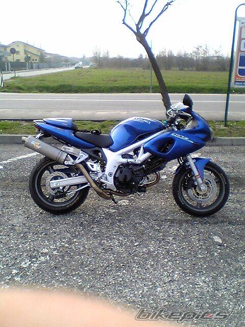 Photo 145496