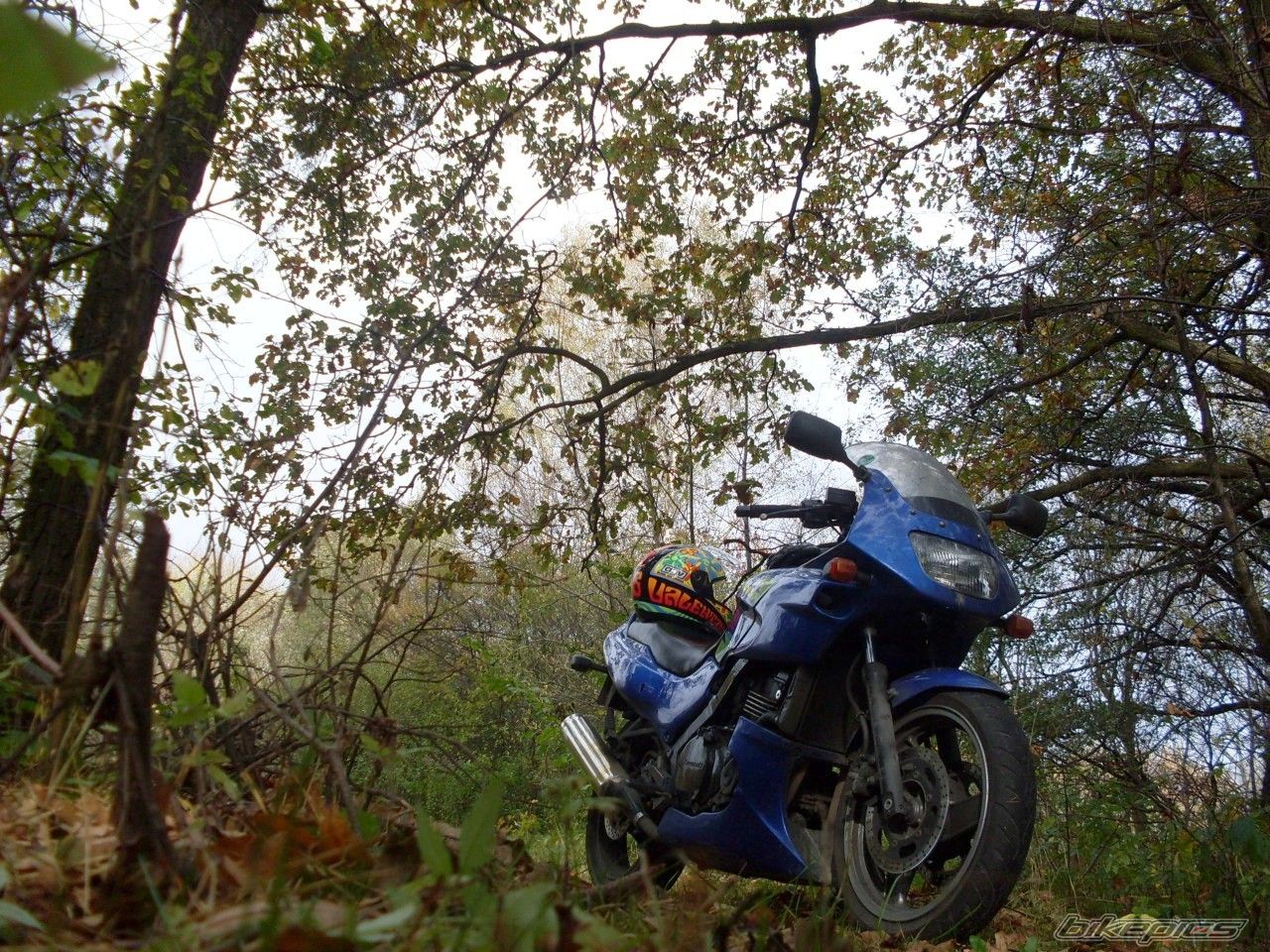 Bike Photo 1454972