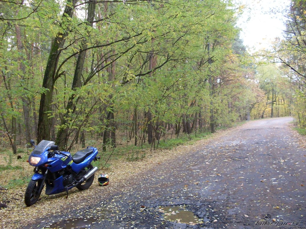 Photo 1454998