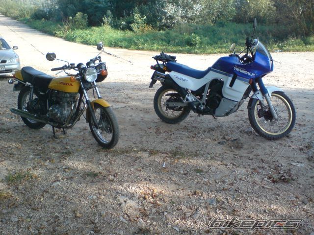 Photo 1455030