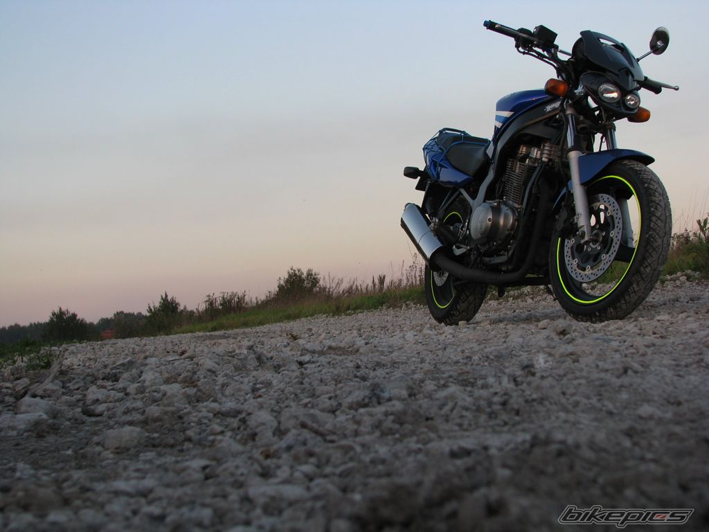 Photo 1455034