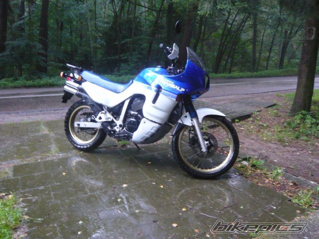 Photo 1455054