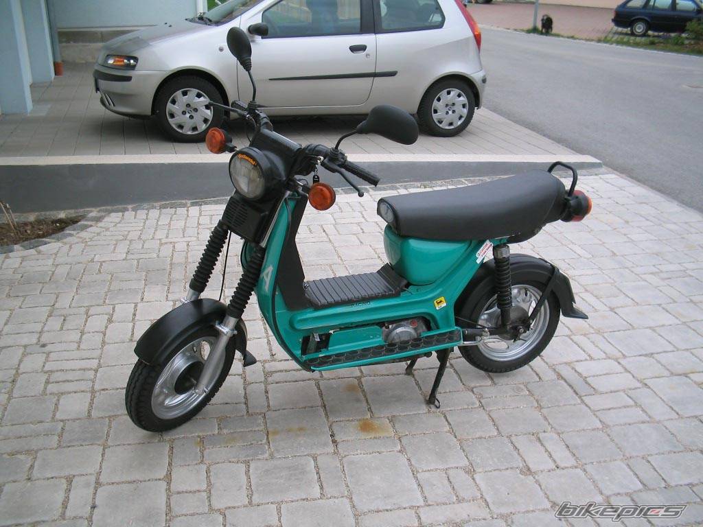 Photo 145515
