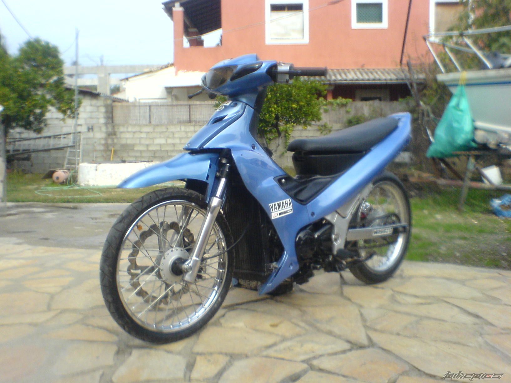 Photo 1455150