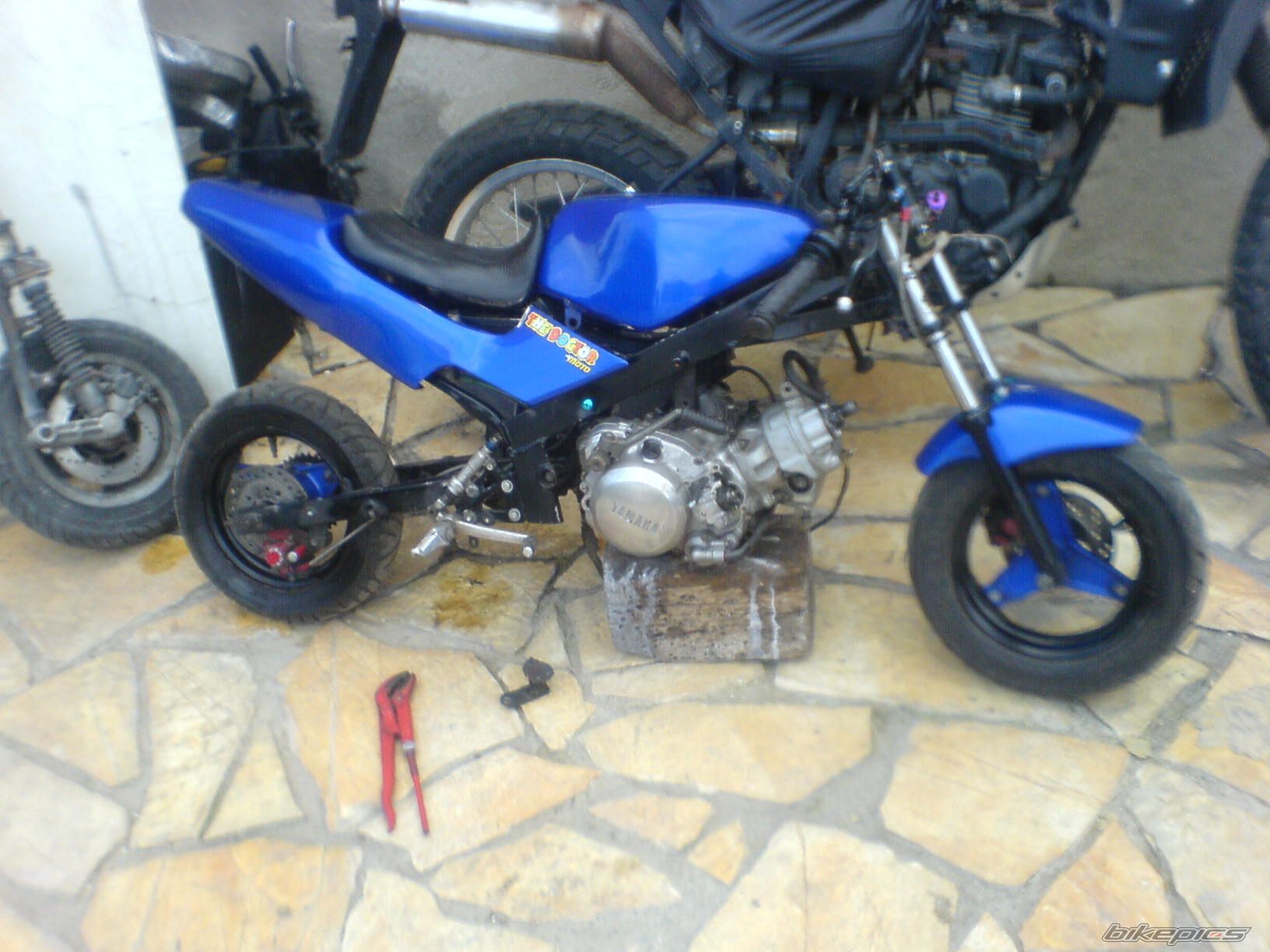 Photo 1455157