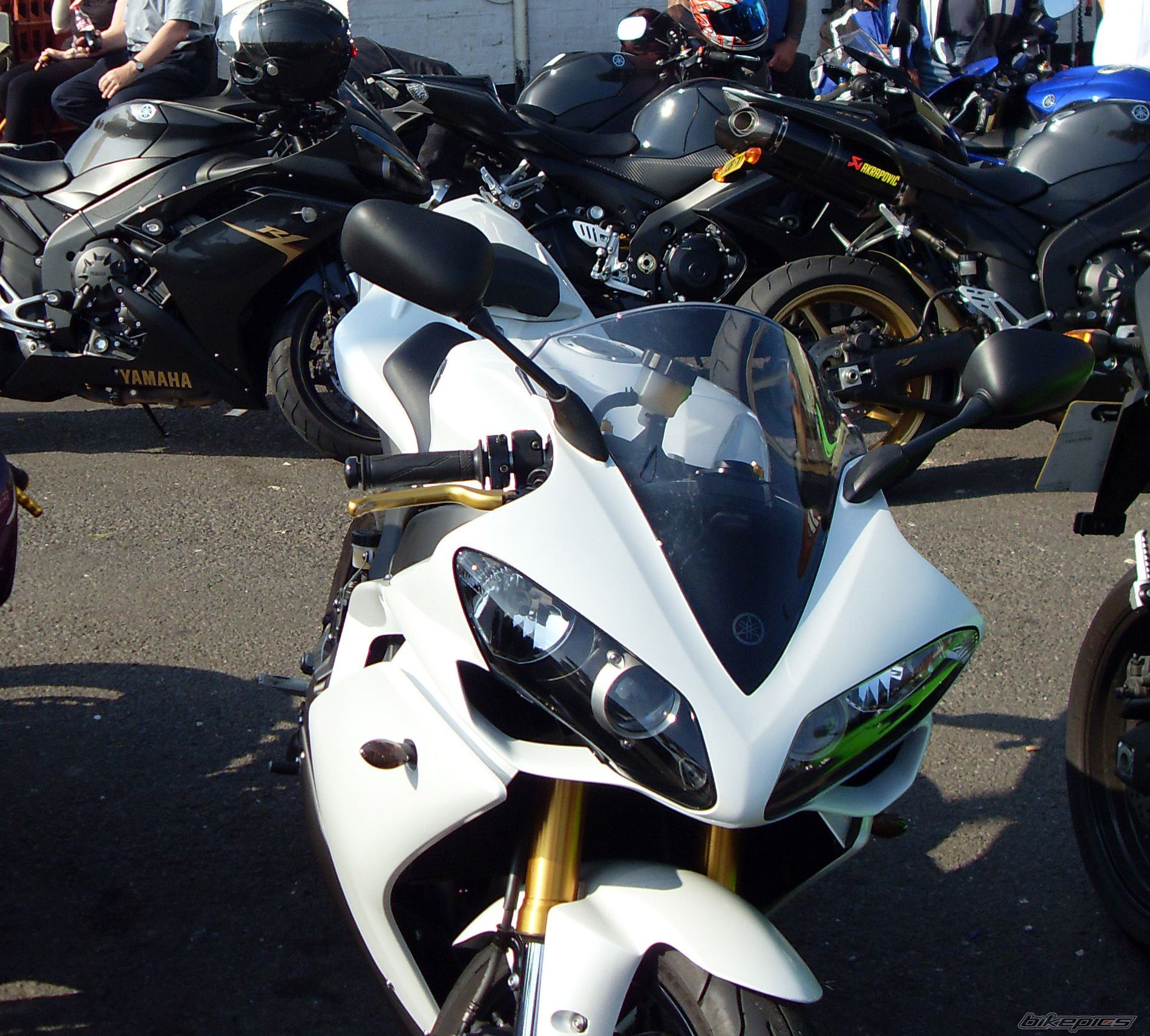 Photo 1455159