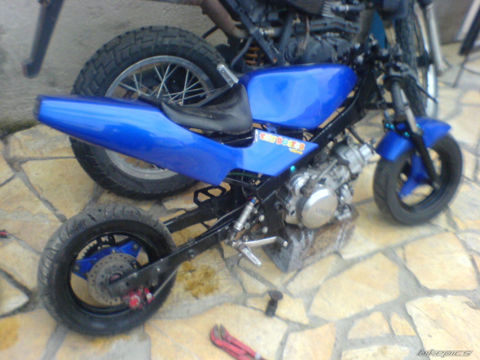 Photo 1455163