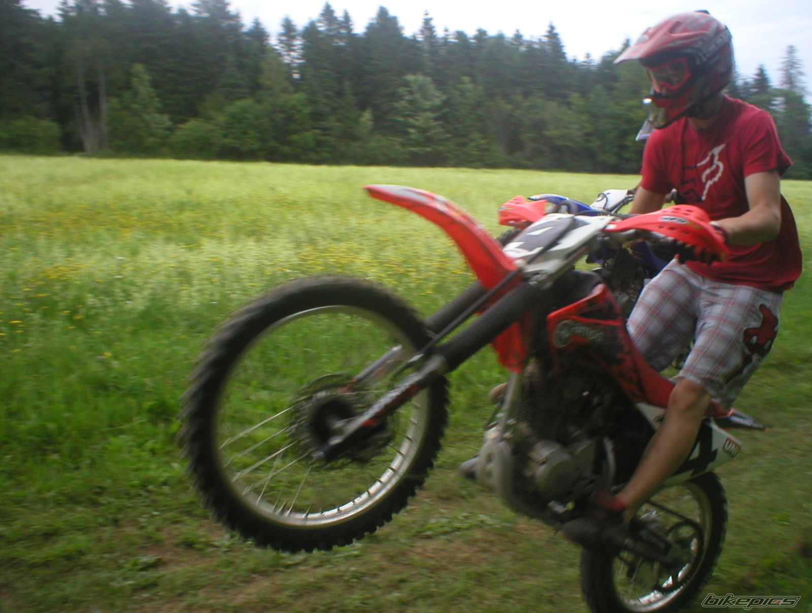 Photo 1455177