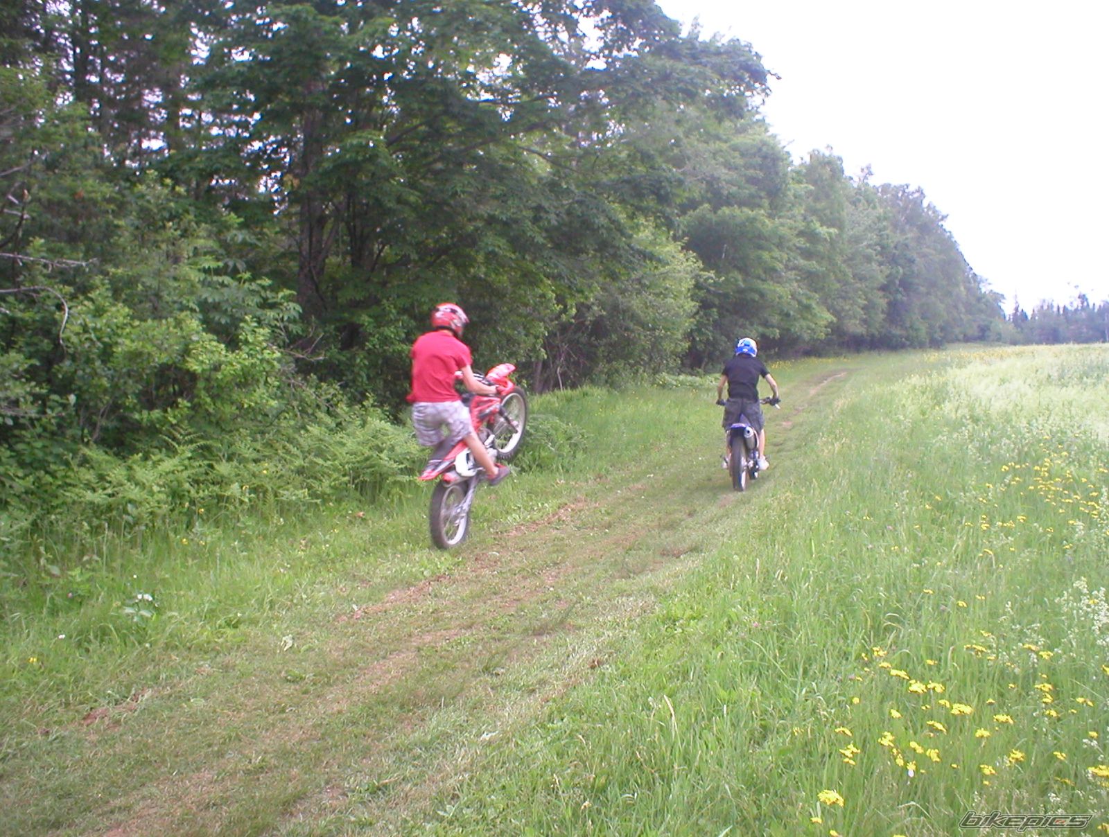 Photo 1455178