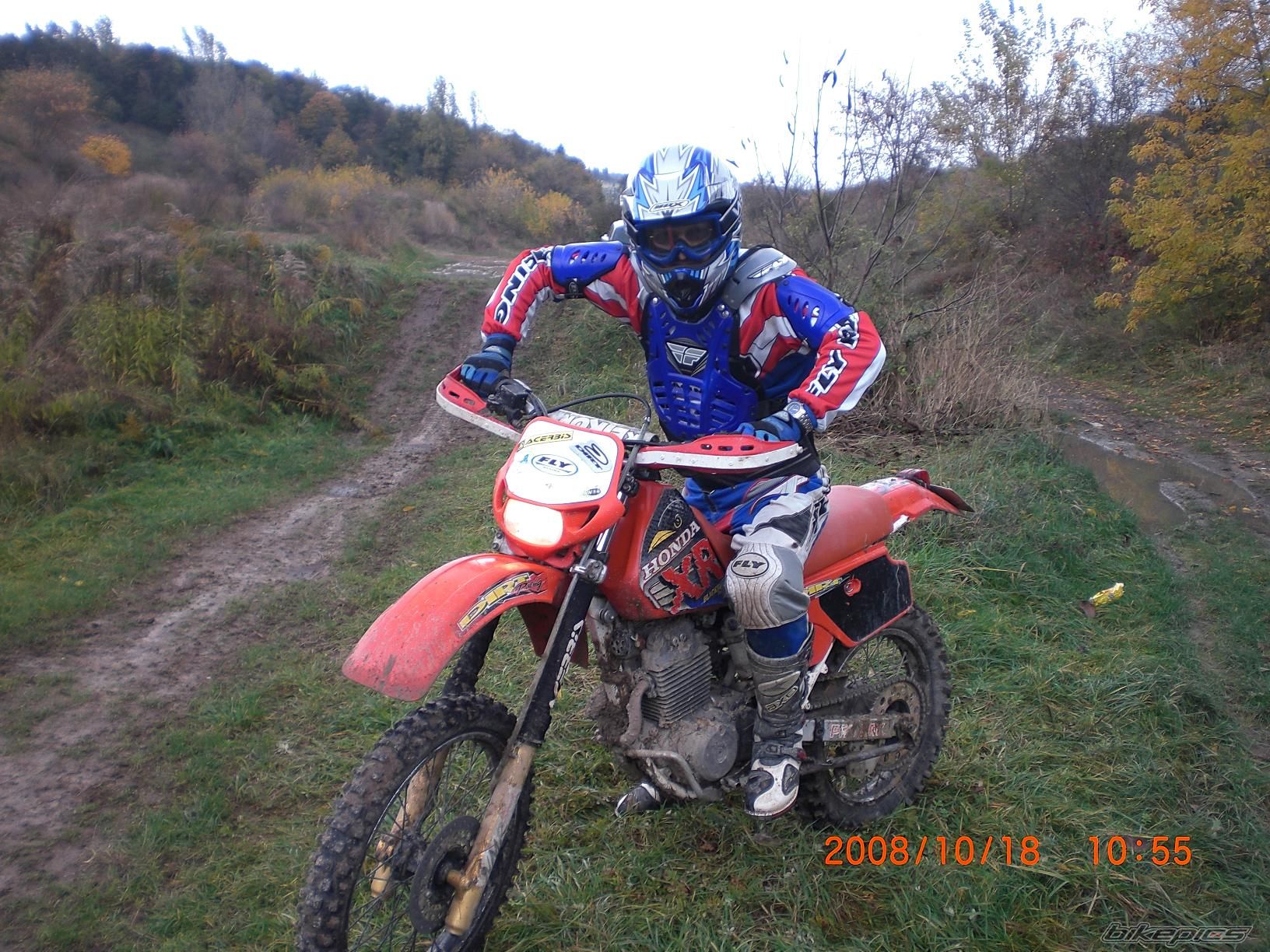 Photo 1455182
