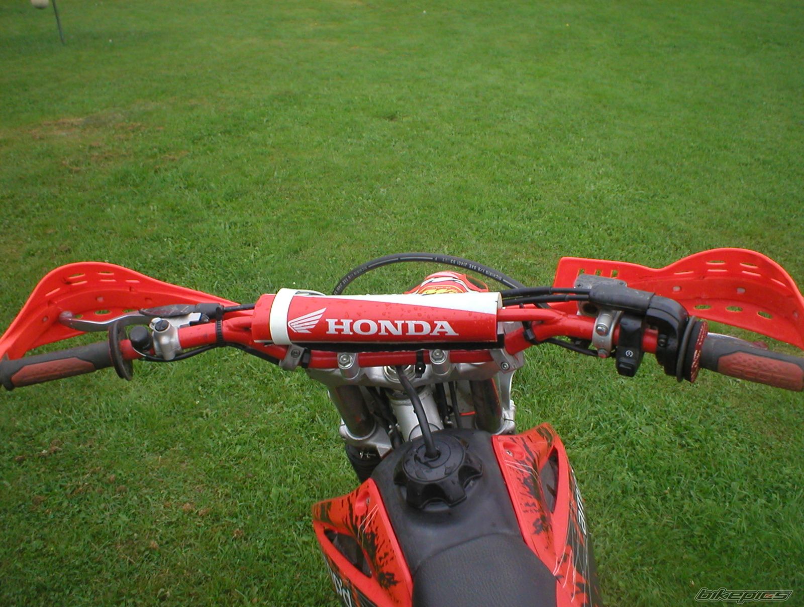 Photo 1455194