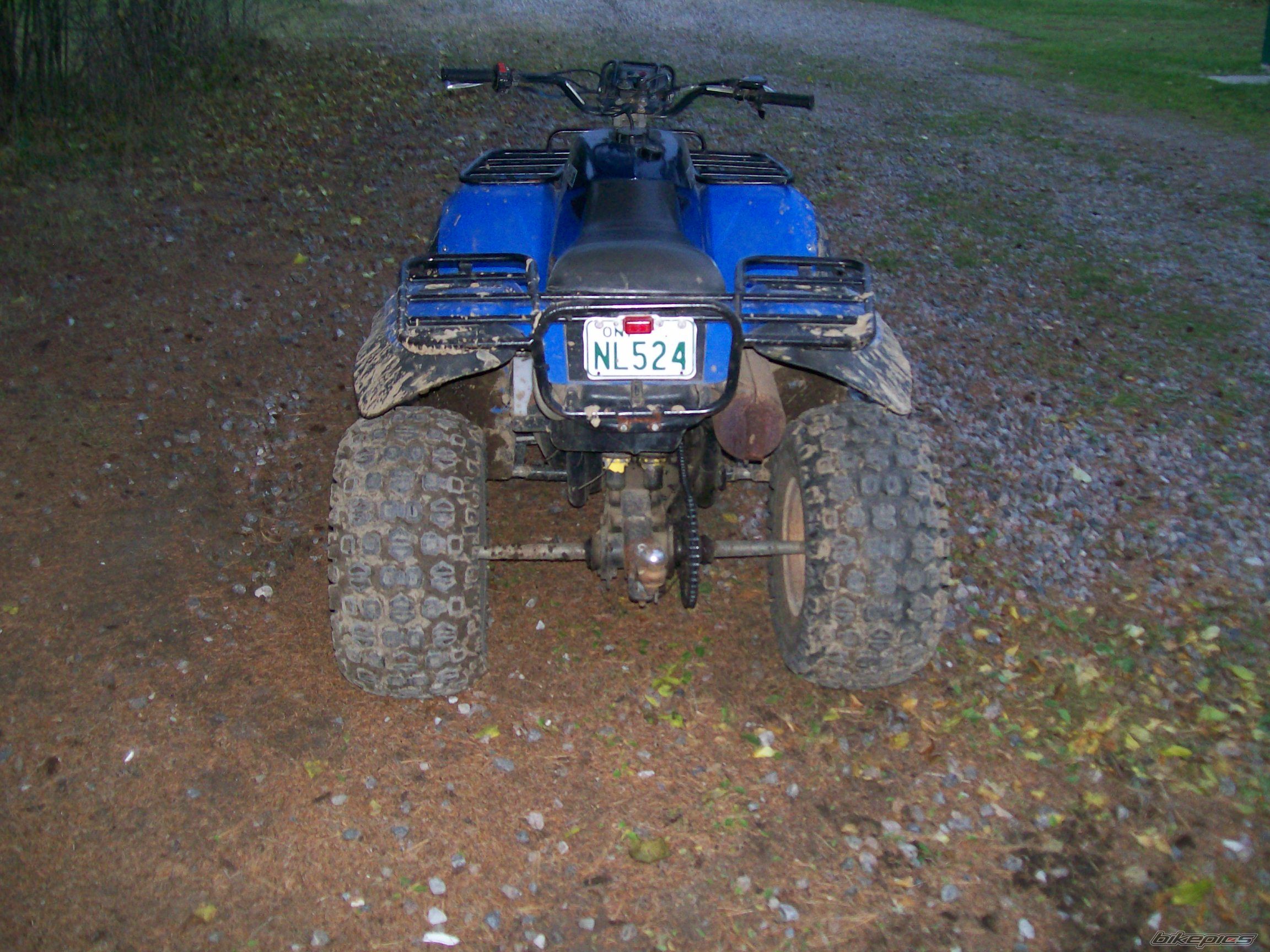 Photo 1455212
