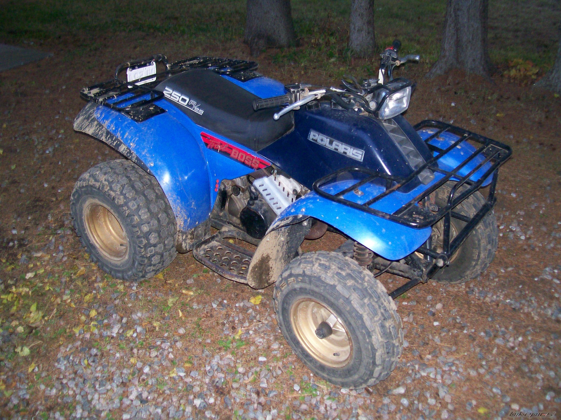 Photo 1455213