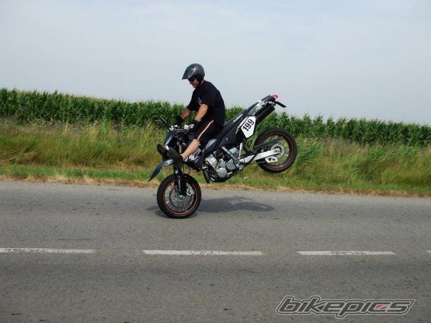 Photo 1455224