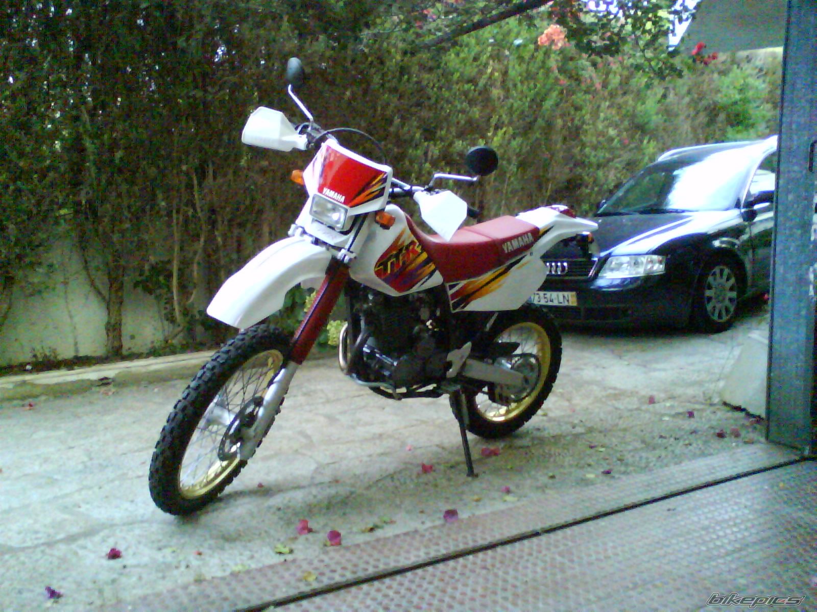 Photo 1455236