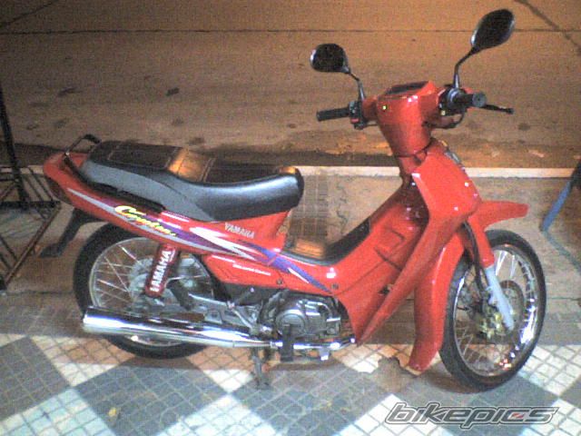 Photo 1455275
