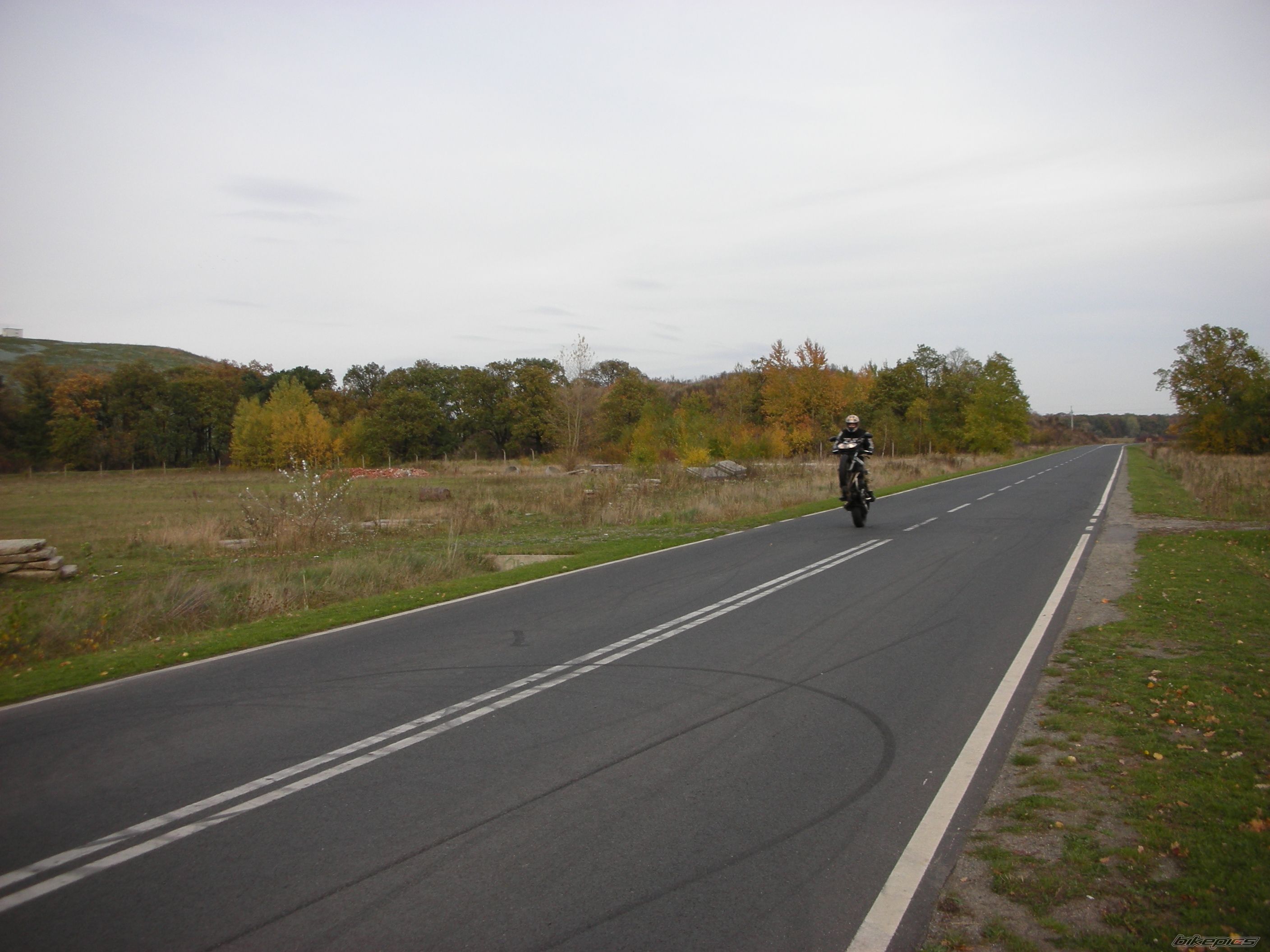Photo 1455297