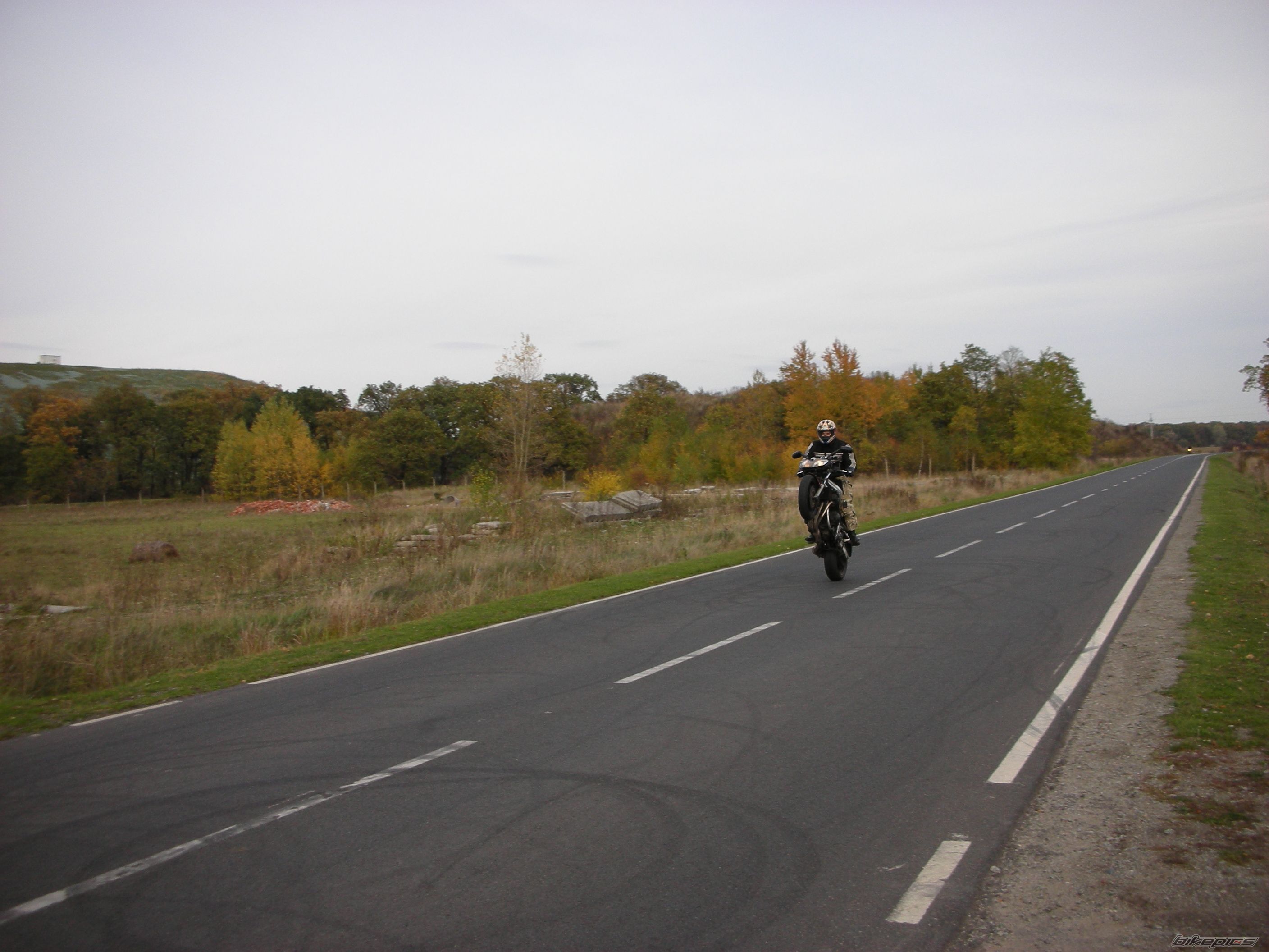 Photo 1455299