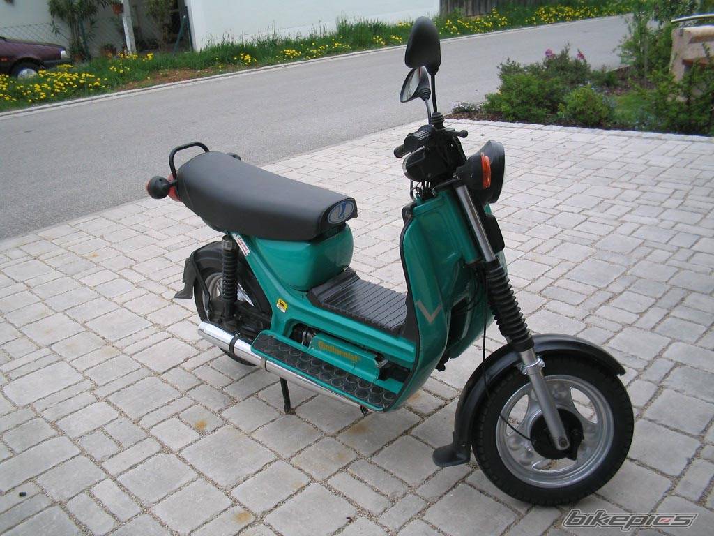 Photo 145535