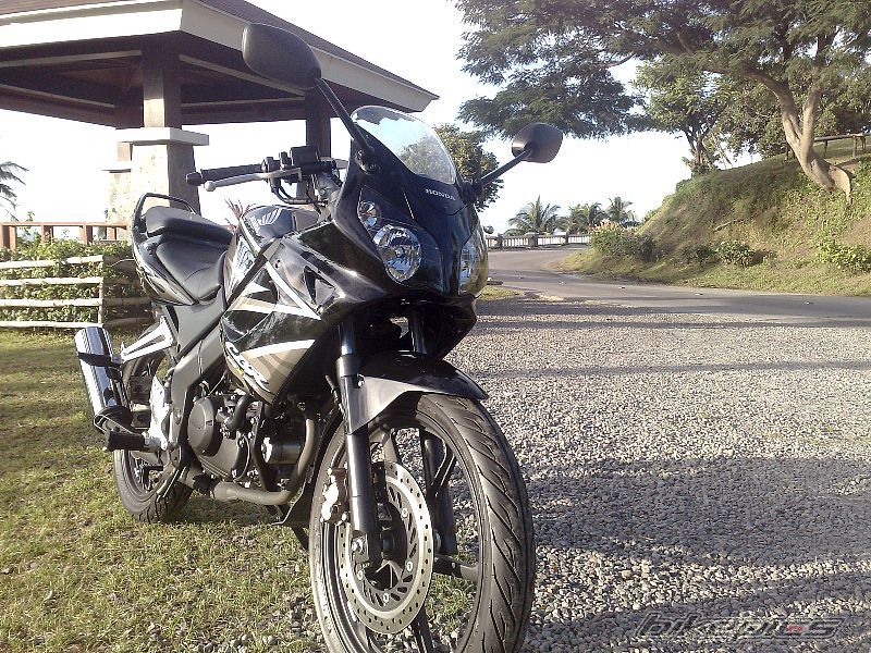 Photo 1455360