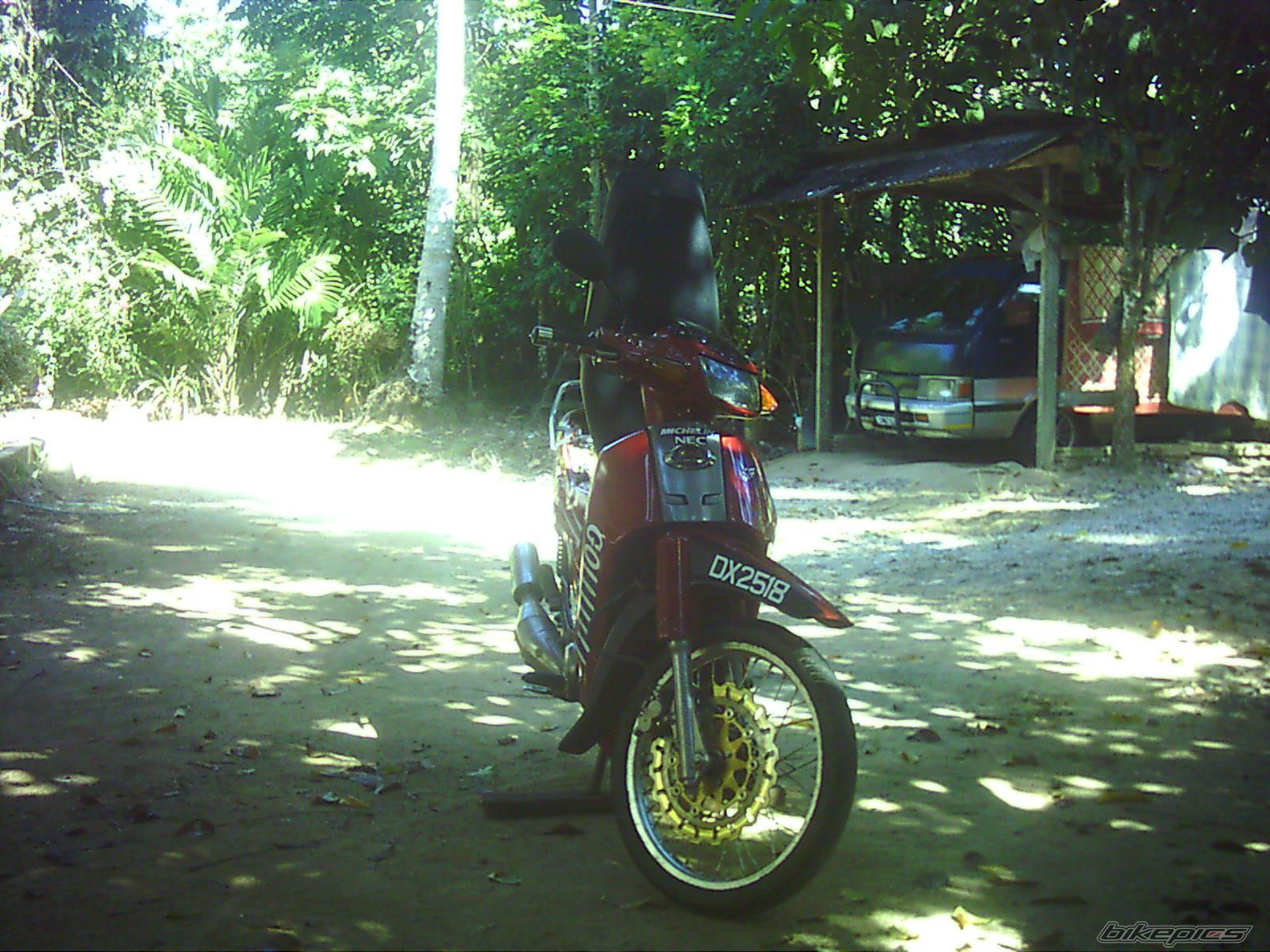 Photo 1455368