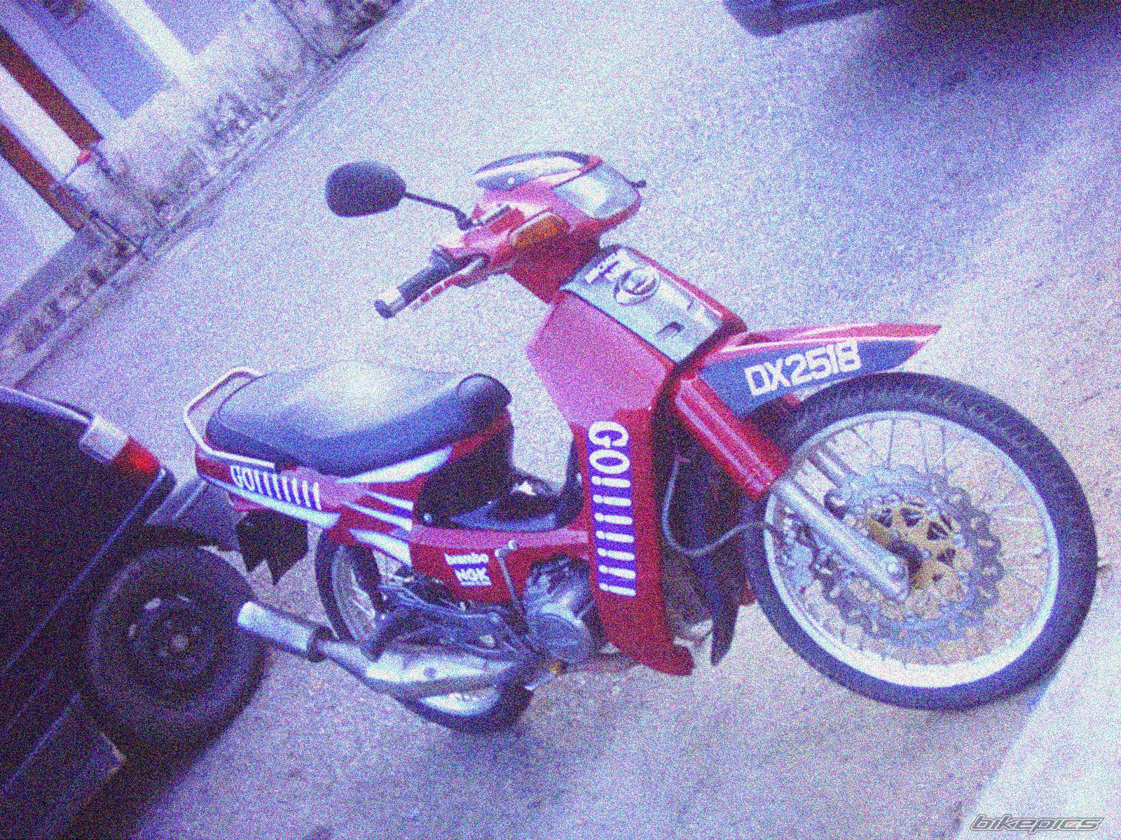 Photo 1455370