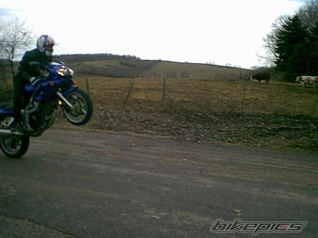 Bike Photo 14554