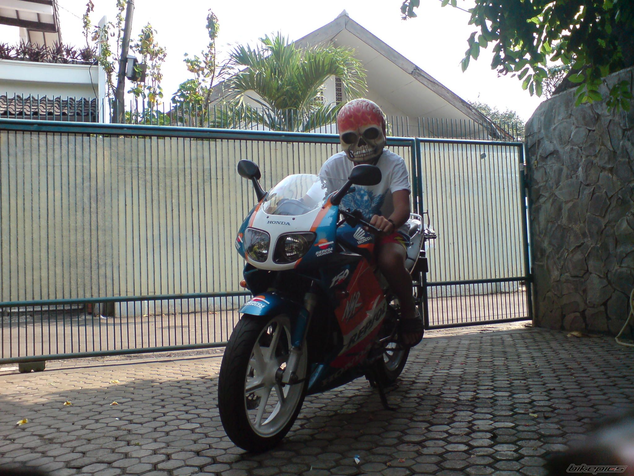 Photo 1455411