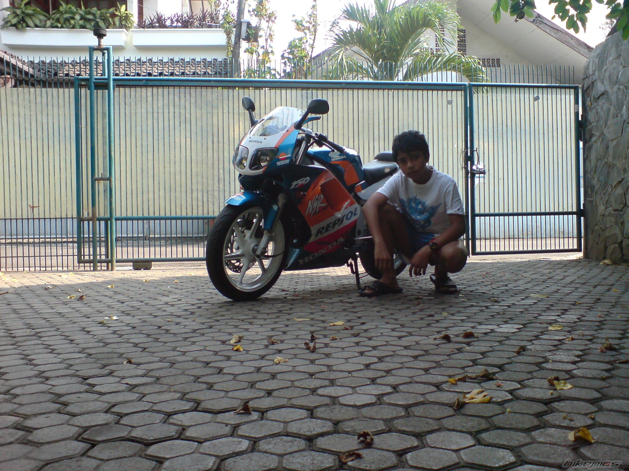Photo 1455412