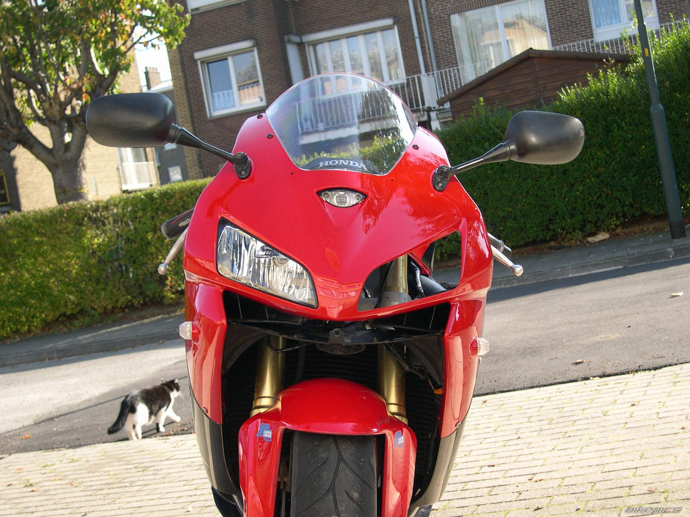 Photo 1455458