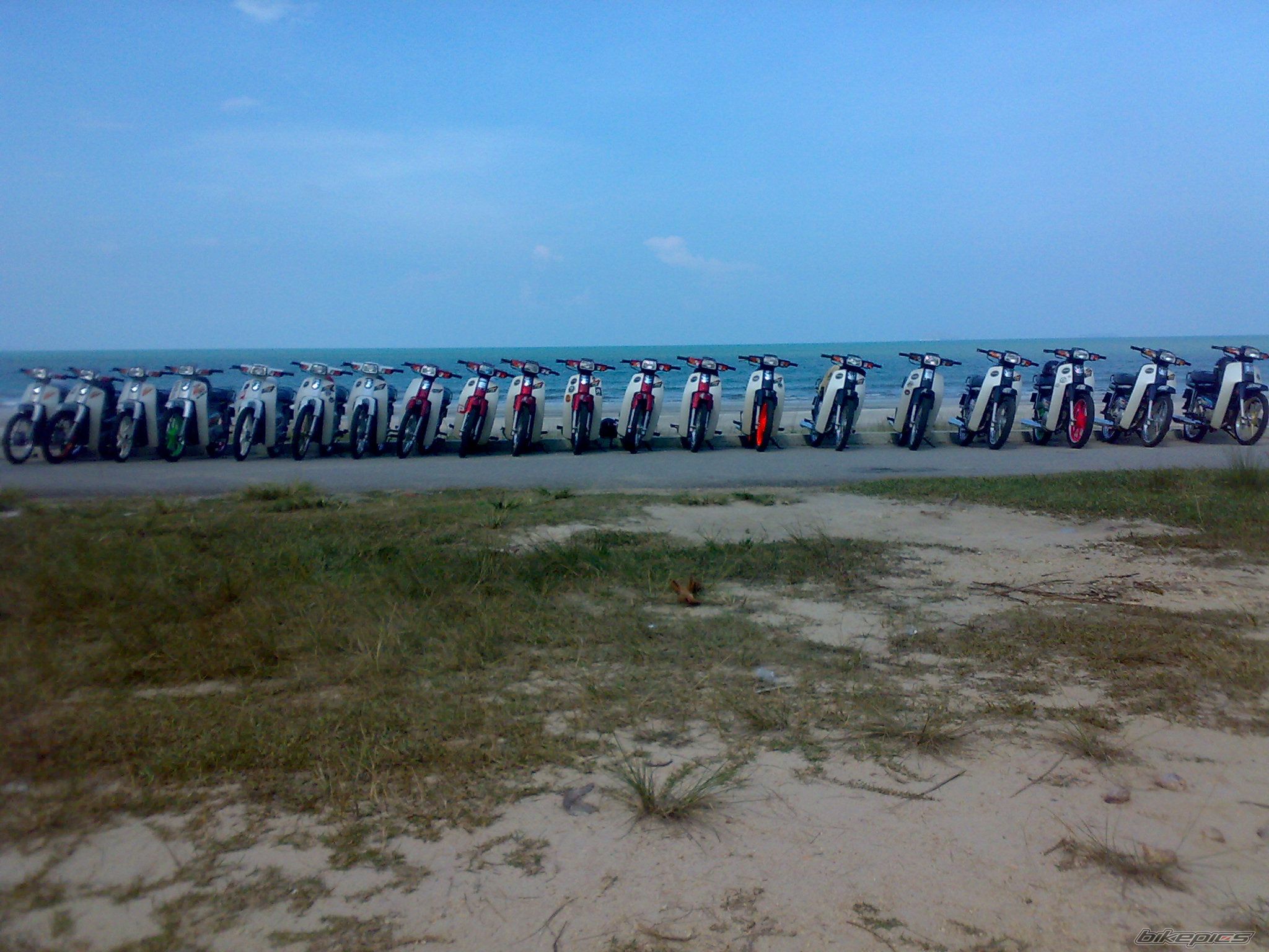 Photo 1455548