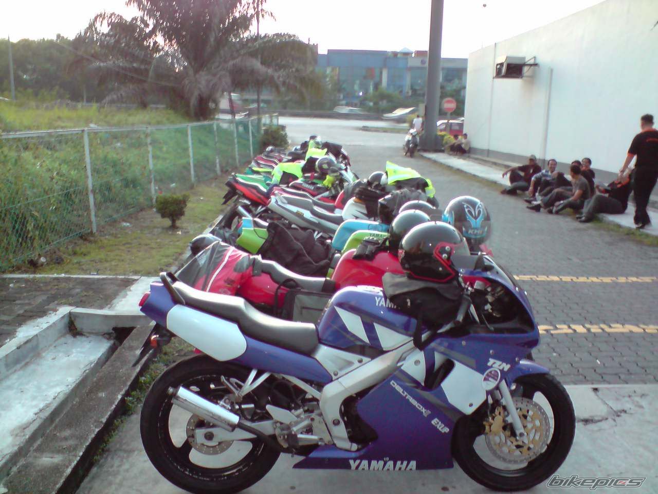Photo 1455556