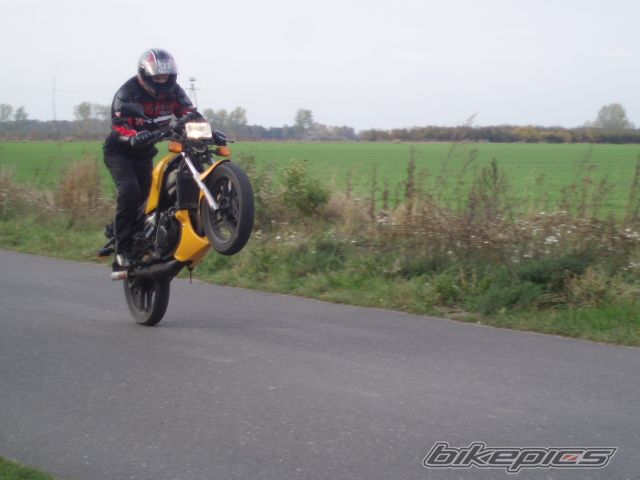 Photo 1455629