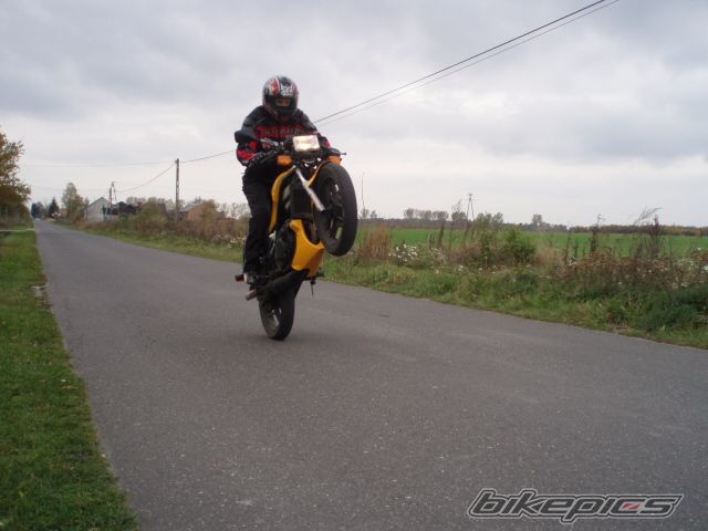 Photo 1455631