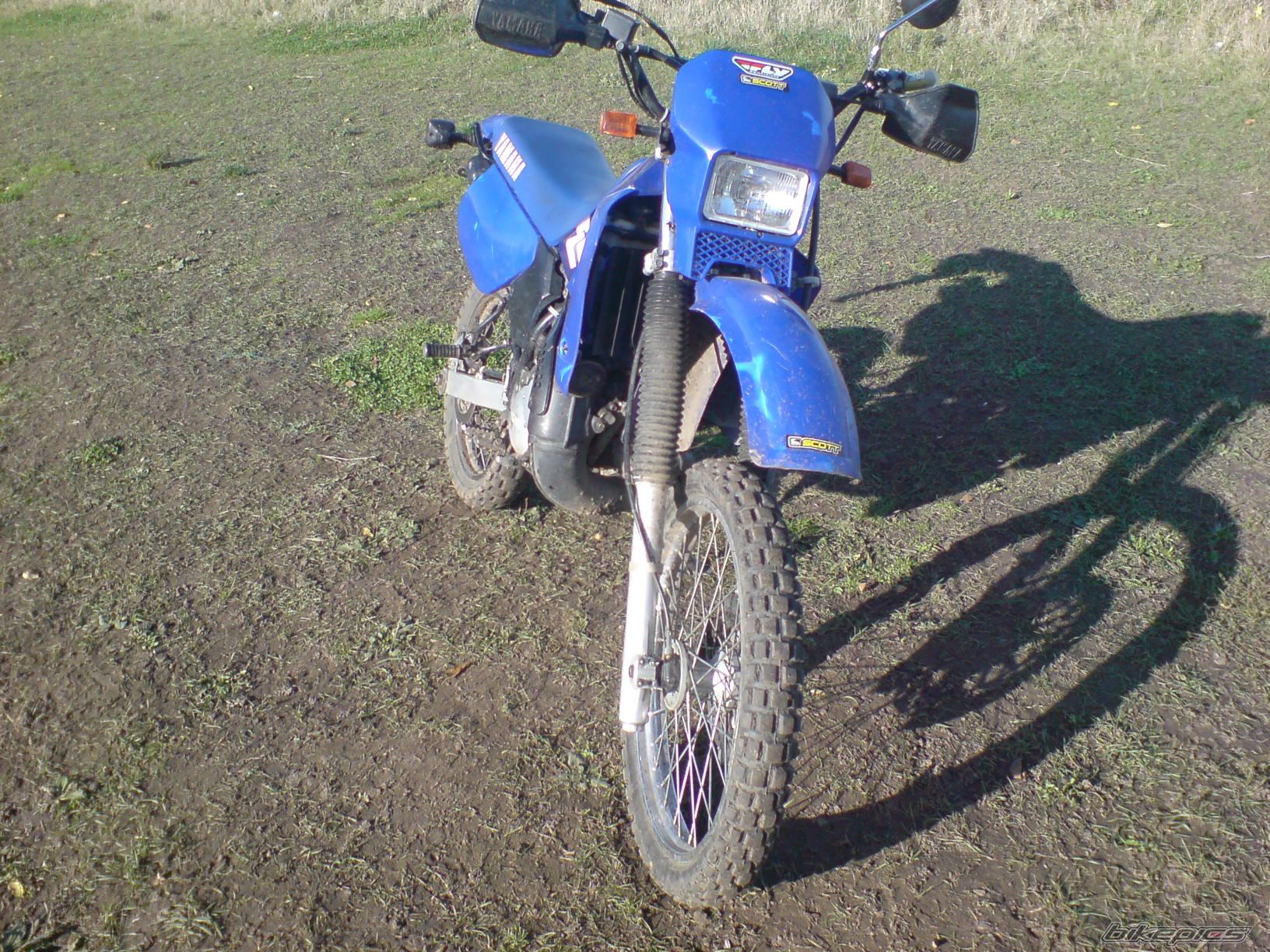 Photo 1455633