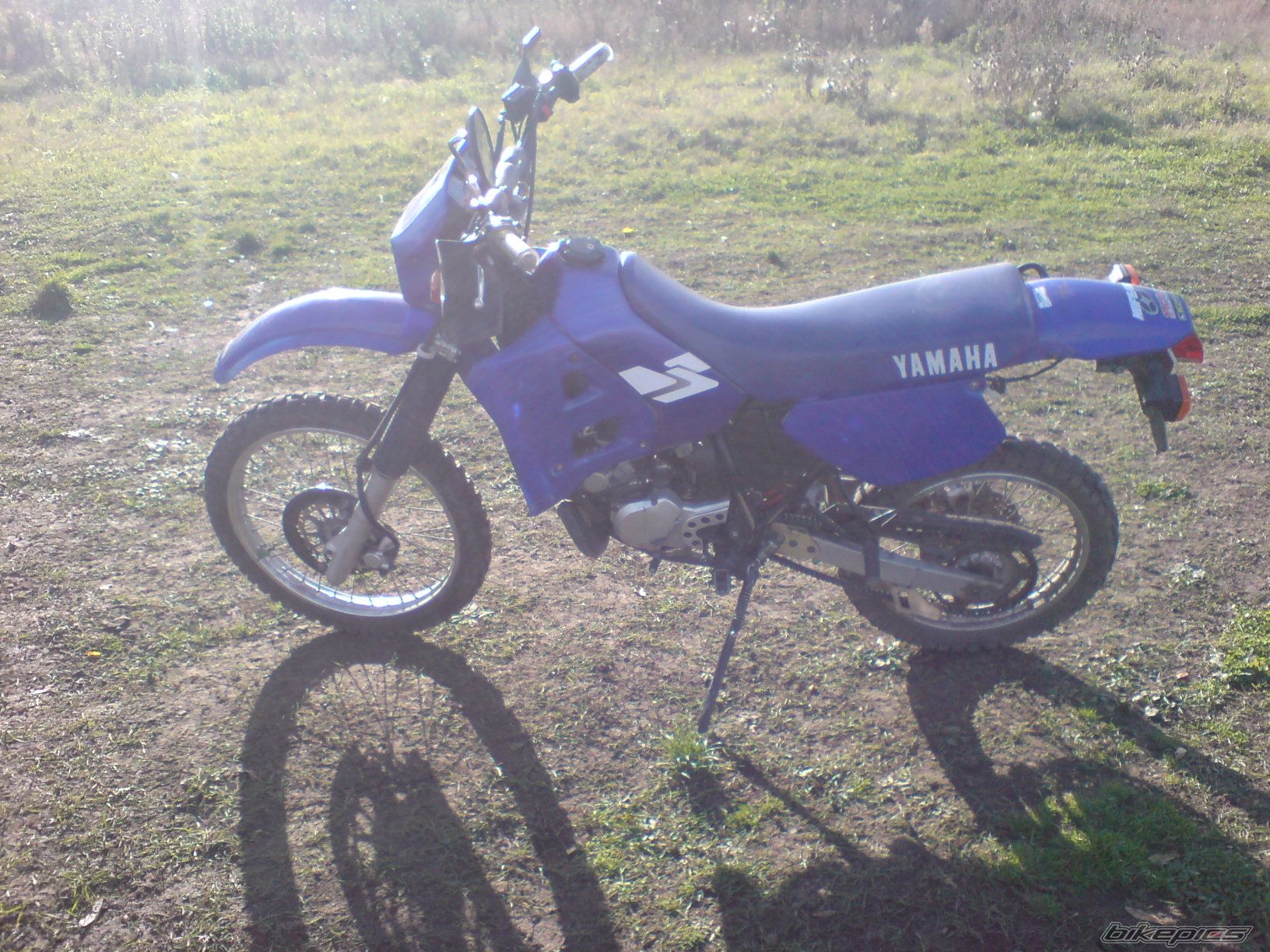 Photo 1455639