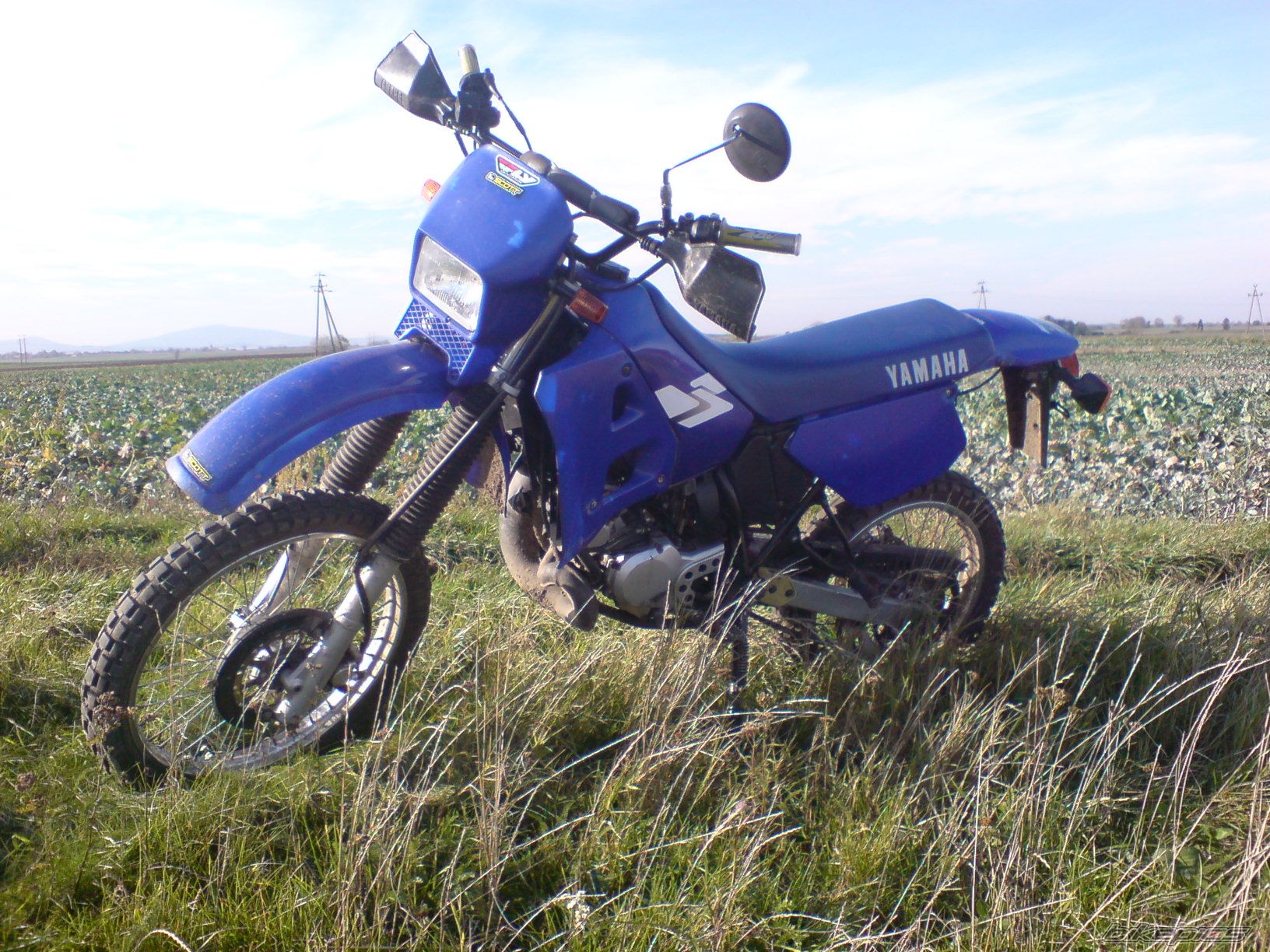 Photo 1455646