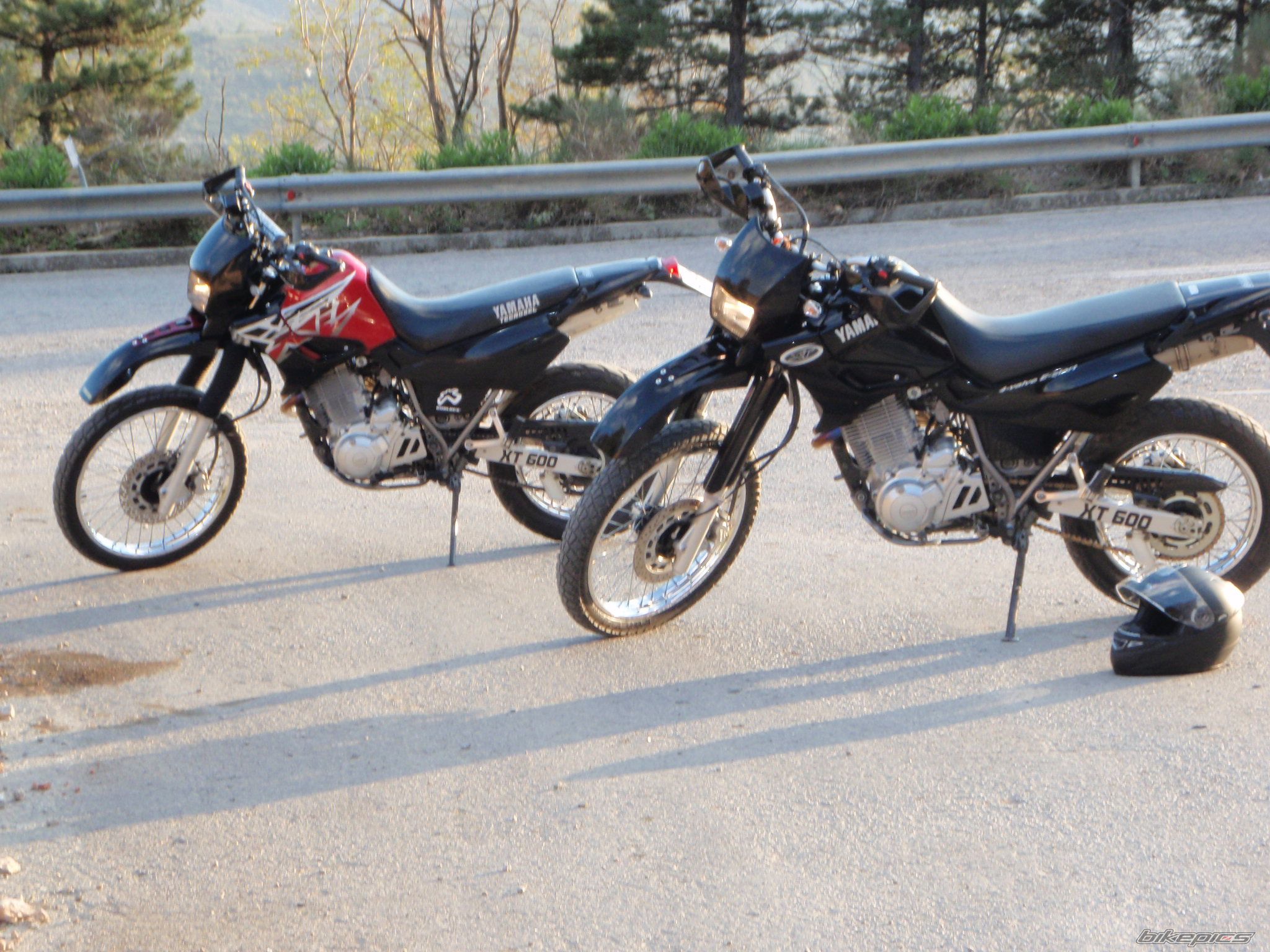 Photo 1455660