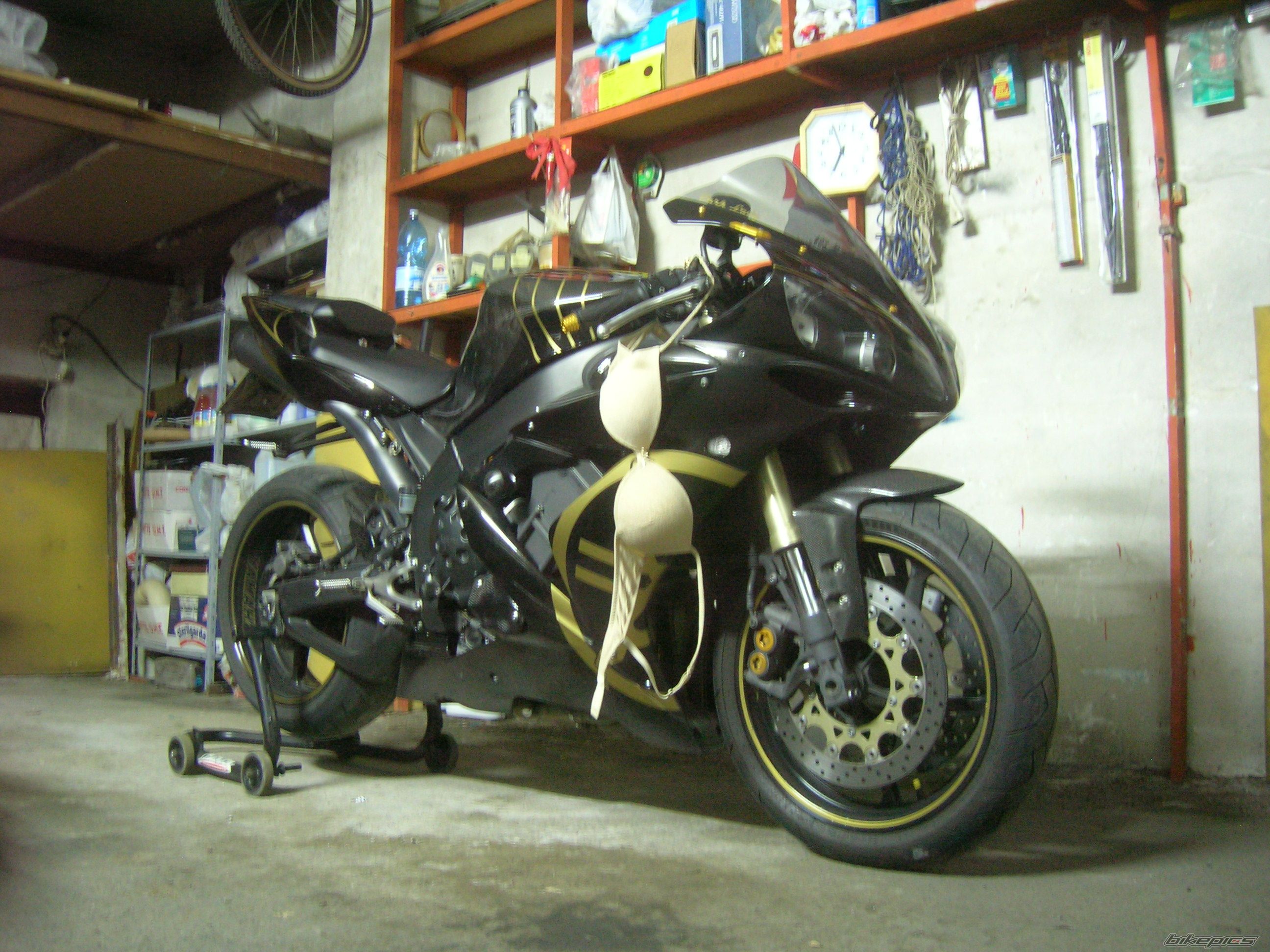 Photo 1455686