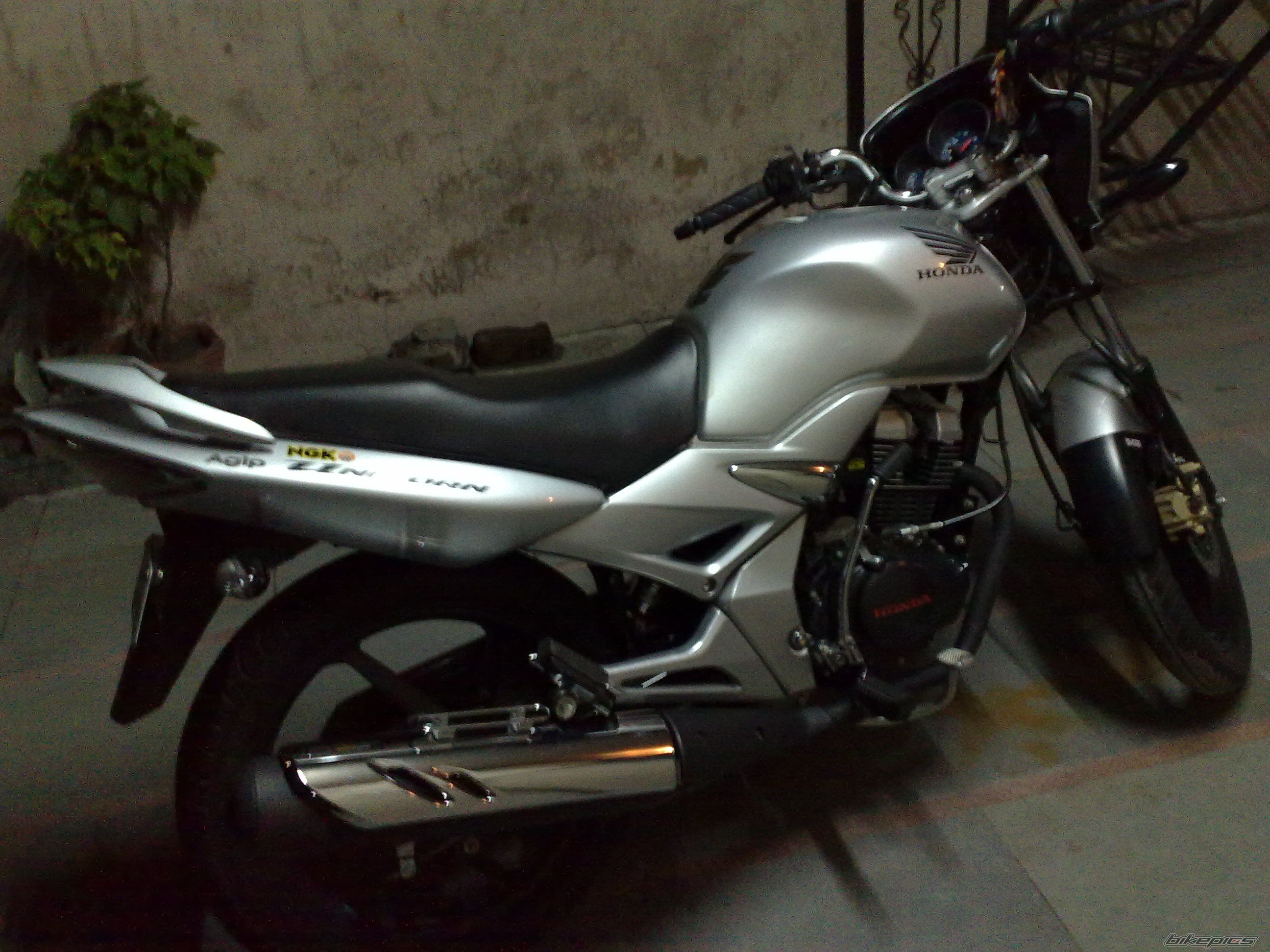 Photo 1455701