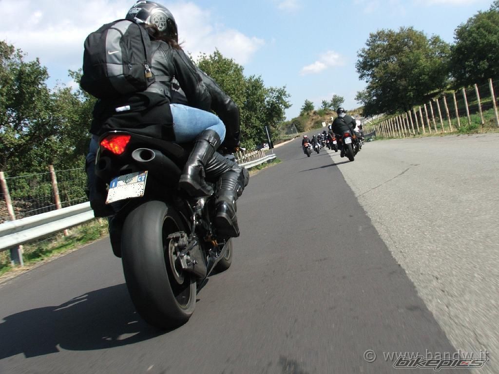 Photo 1455705