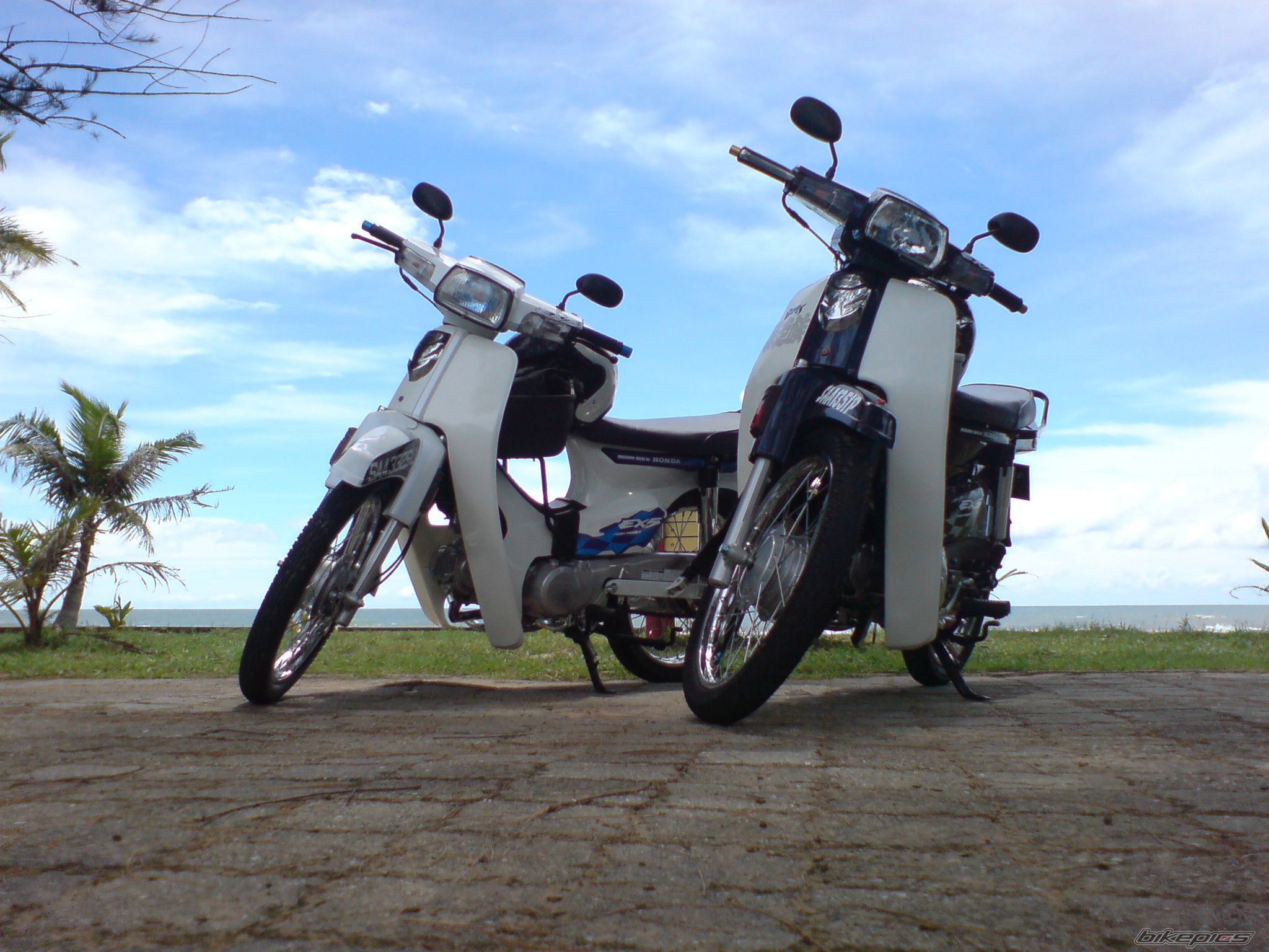 Photo 1455720