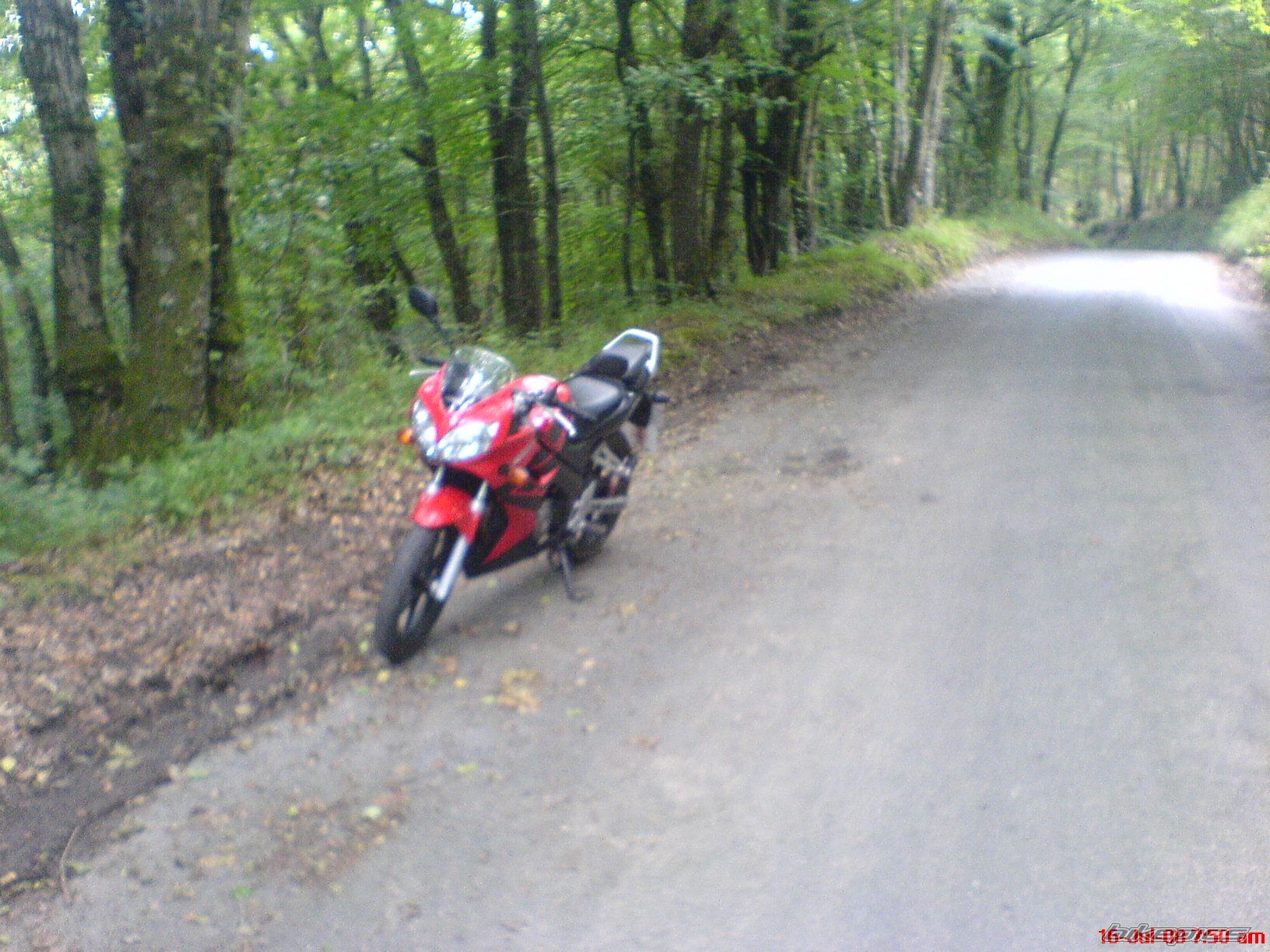Photo 1455745
